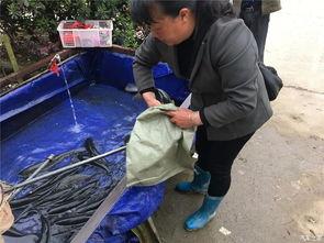 五一吃瓜群众视频在线观看,揭秘热门事件幕后真相 第3张 五一吃瓜群众视频在线观看,揭秘热门事件幕后真相 第3张